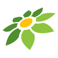 BOKEP DOODSTREAM